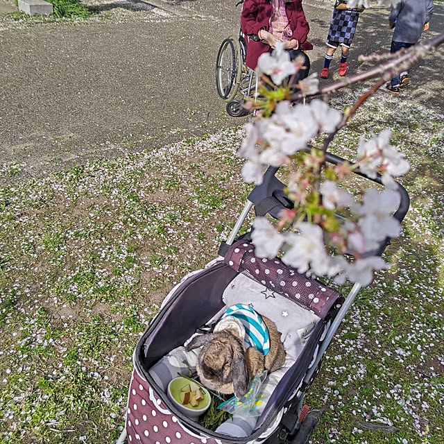mariaさんの実例写真