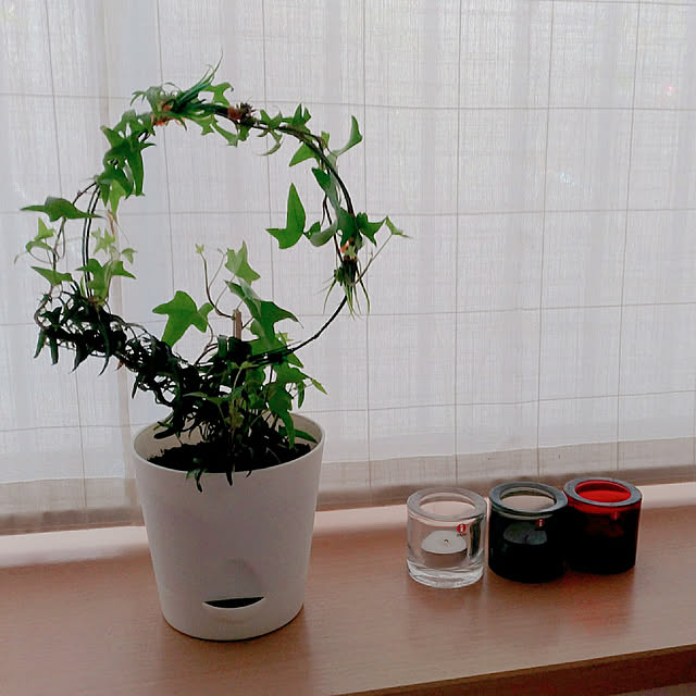 magnoliaさんの実例写真