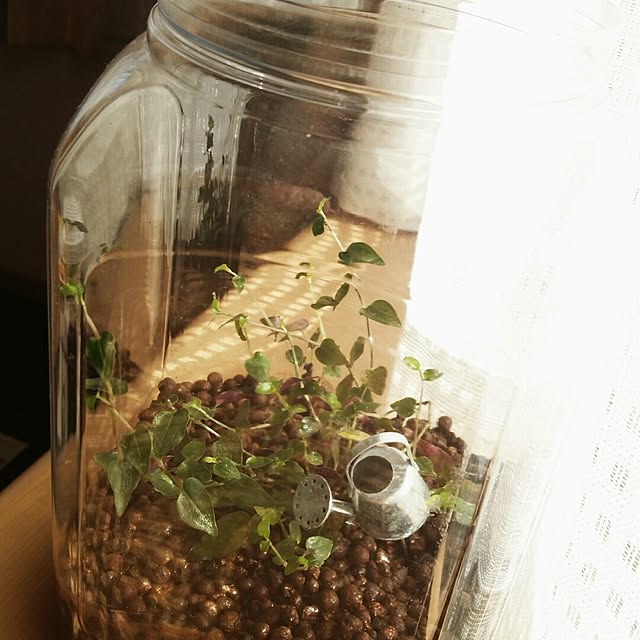 coccomomamaさんの実例写真