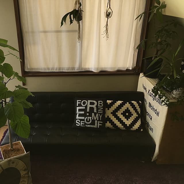 yunさんの実例写真