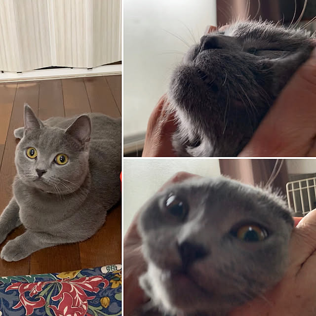 masaさんの実例写真