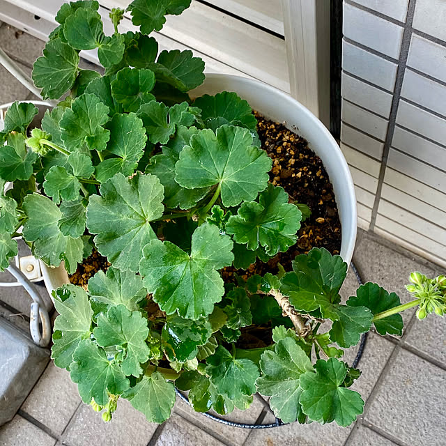 YuuKoさんの部屋