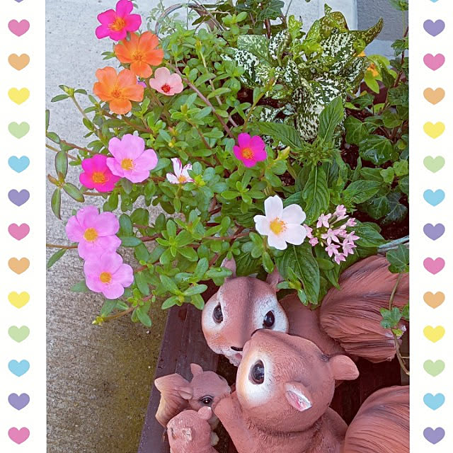 mocomocoさんの実例写真