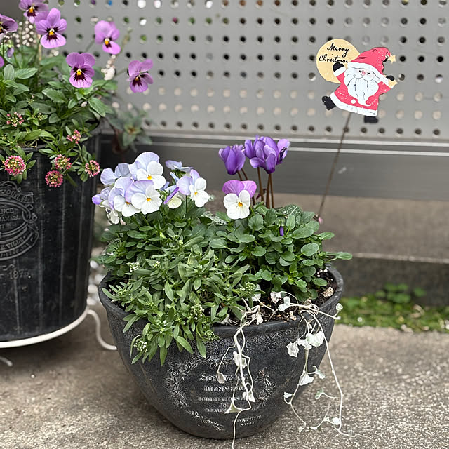 maayaさんの部屋