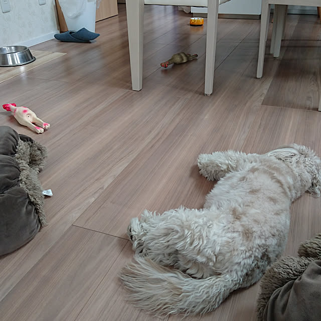 etudayoさんの実例写真