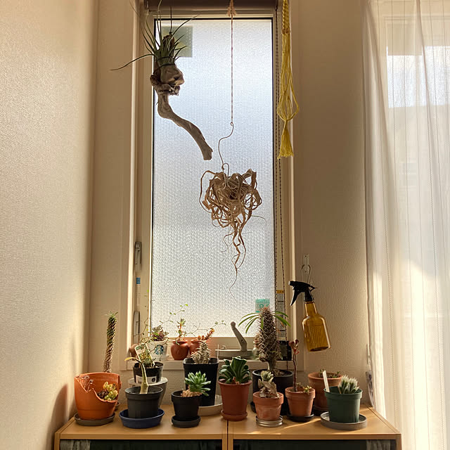 yokoyangさんの実例写真