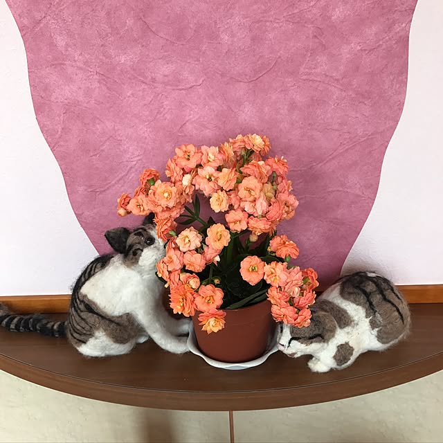 akochanさんの実例写真
