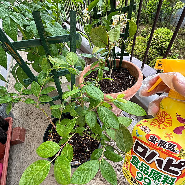 syutmmさんの部屋