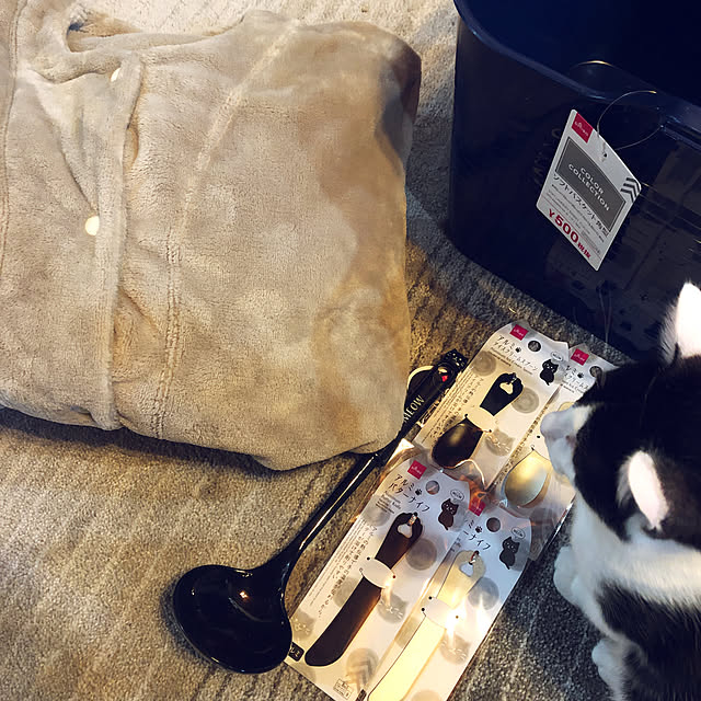 Yukinekoさんの実例写真