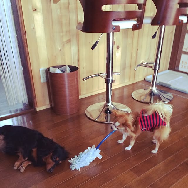 madoringoさんの実例写真