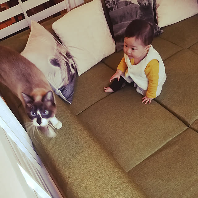 kohapapaさんの実例写真