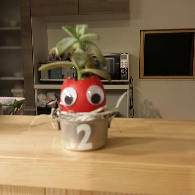 seiさんの実例写真