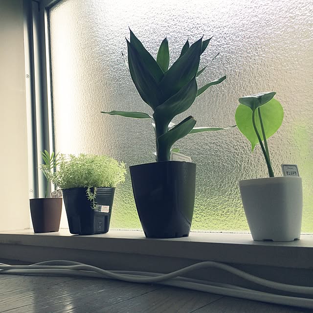 GeTanikoさんの実例写真
