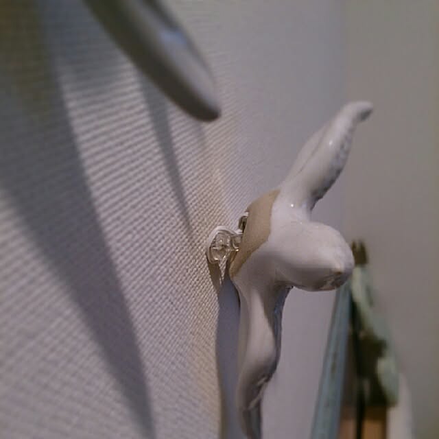 Qoocoさんの実例写真