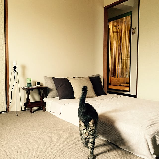 maruさんの実例写真