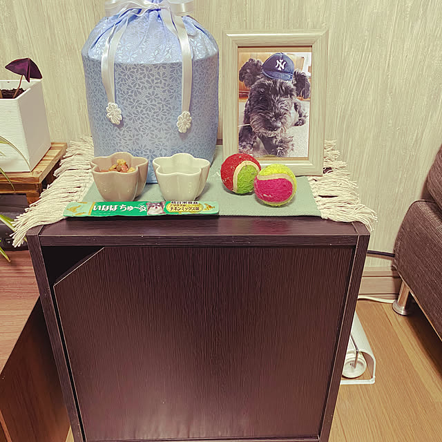 shunasoraさんの実例写真