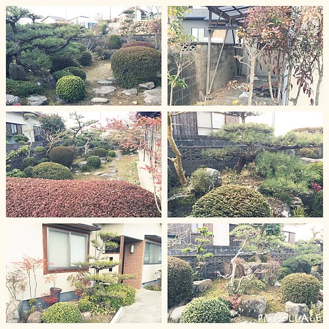 ikuさんの実例写真