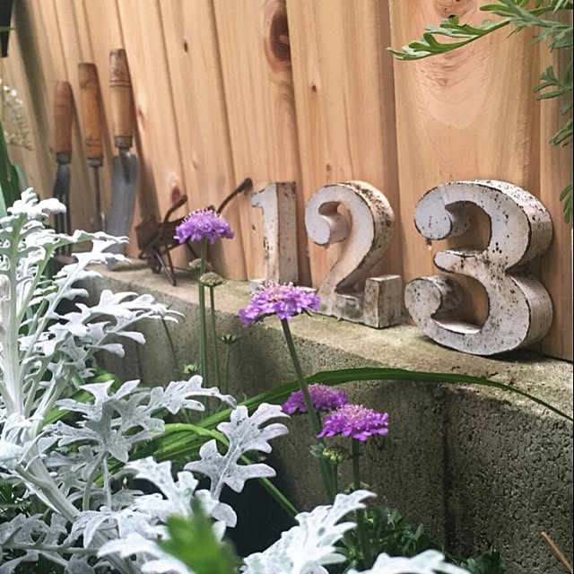 MAKIさんの実例写真