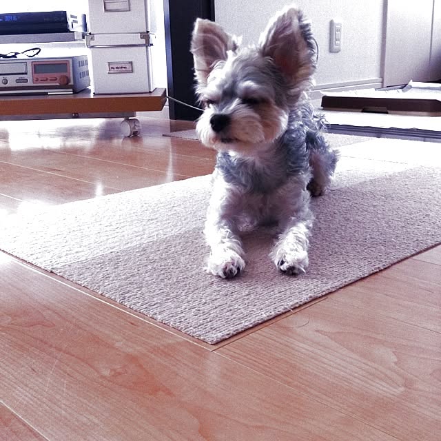 seicoさんの実例写真