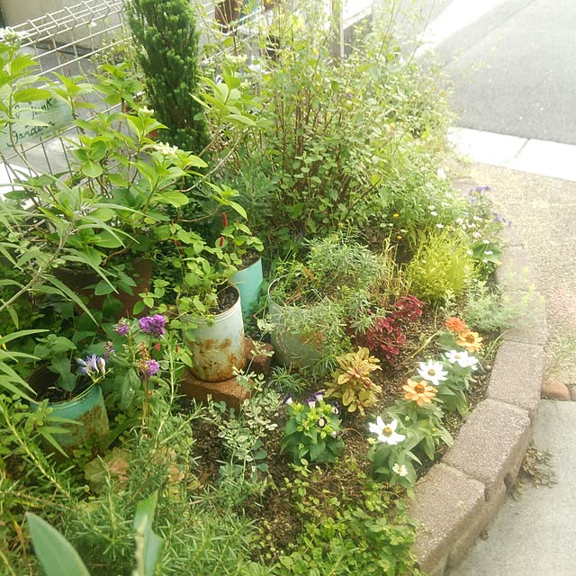 Marikoさんの実例写真