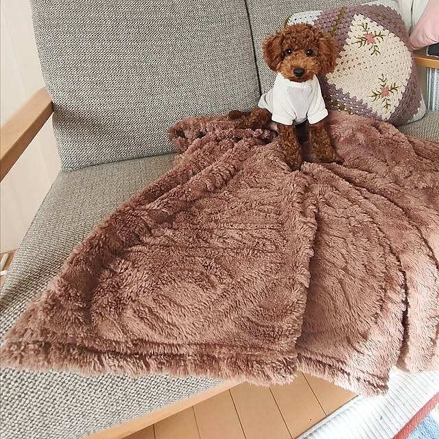 teamoさんの部屋