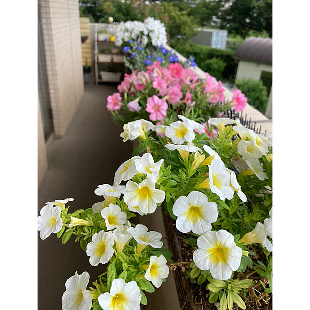 marukoさんの部屋