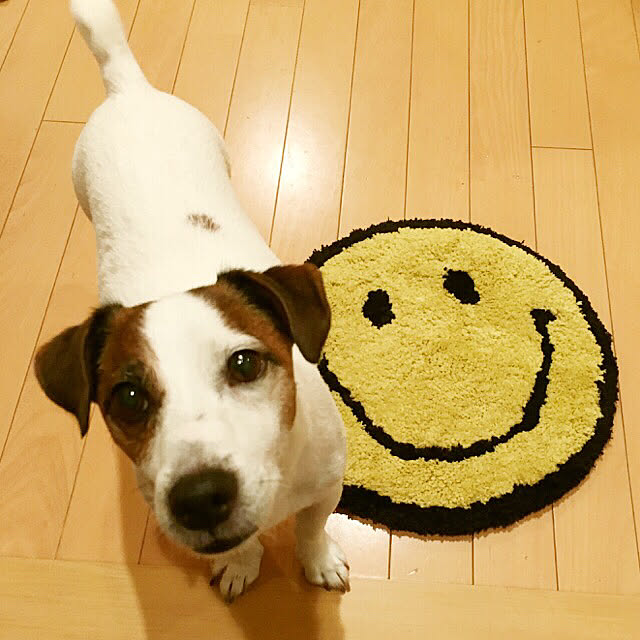 chippa8さんの実例写真