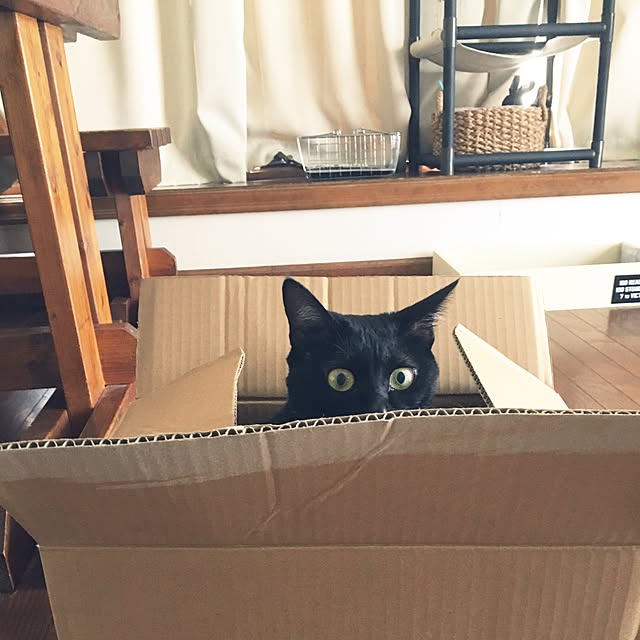 mahi1101さんの実例写真
