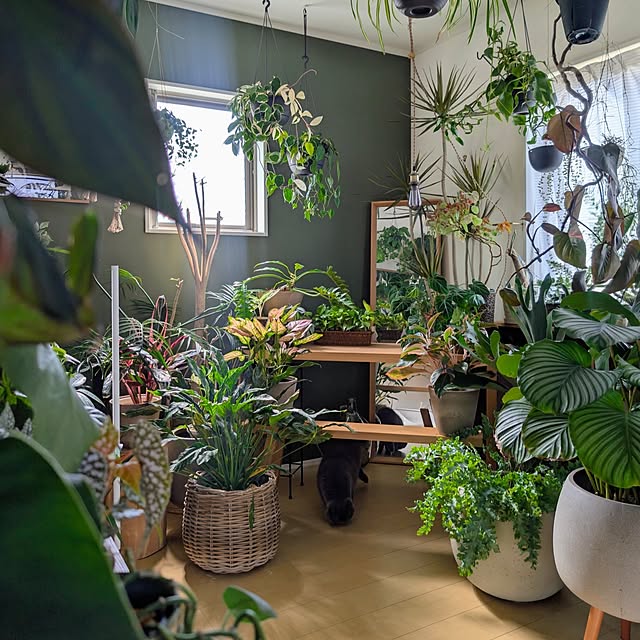 ayamameさんの実例写真