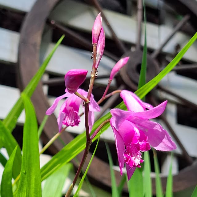 midoriさんの部屋