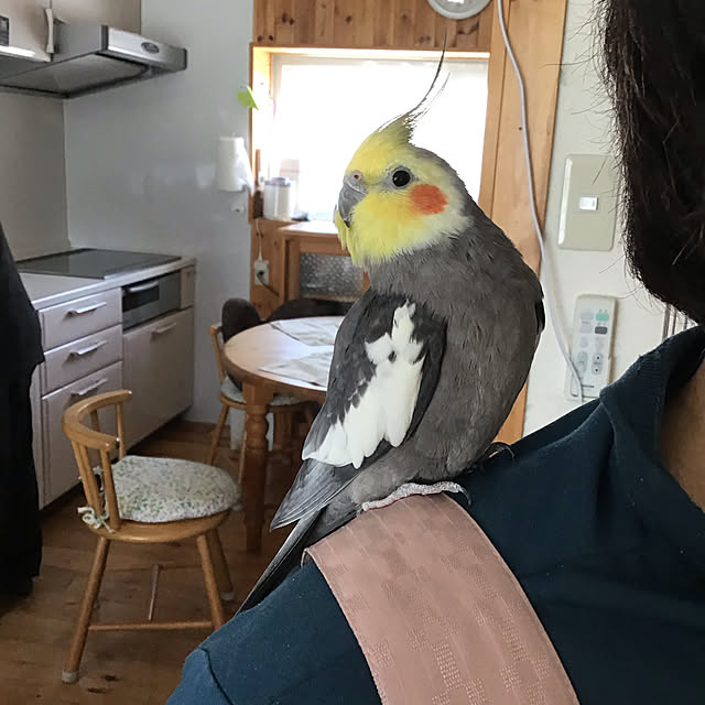 Suzukiさんの実例写真