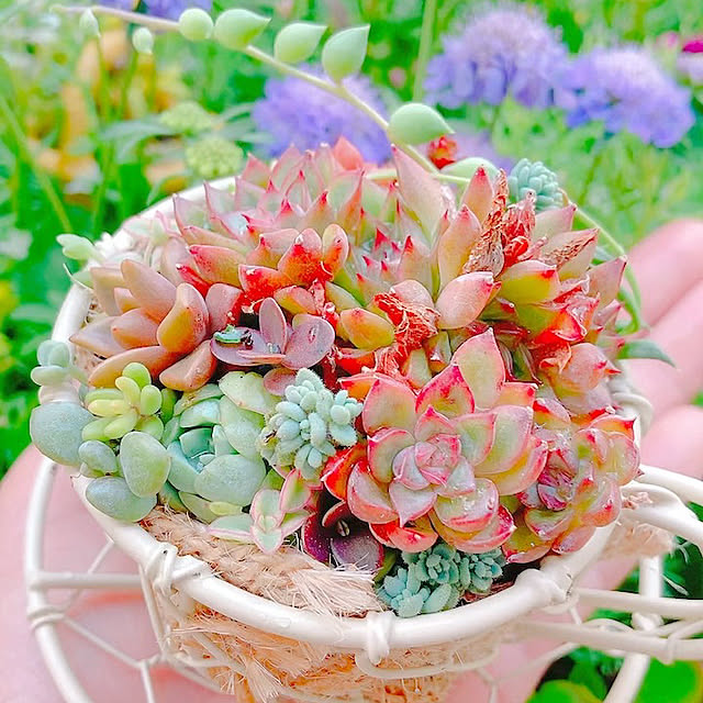 Hanakaさんの実例写真