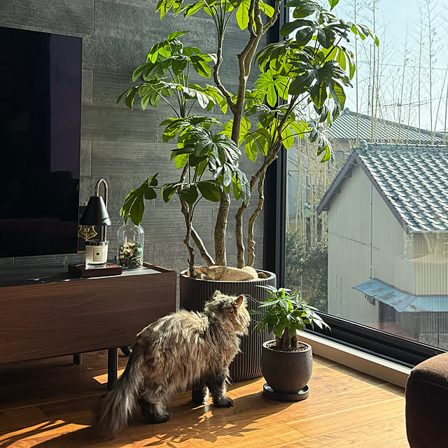 Mokunaさんの実例写真