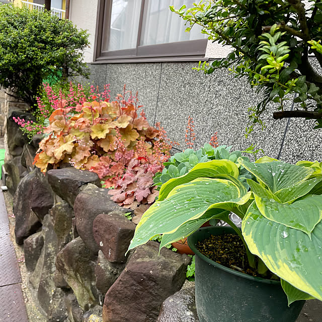 buchiさんの部屋
