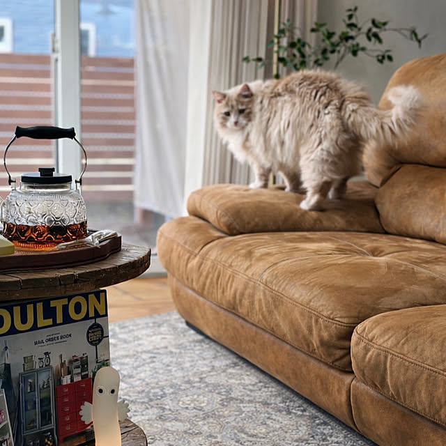 chibinoriさんの部屋