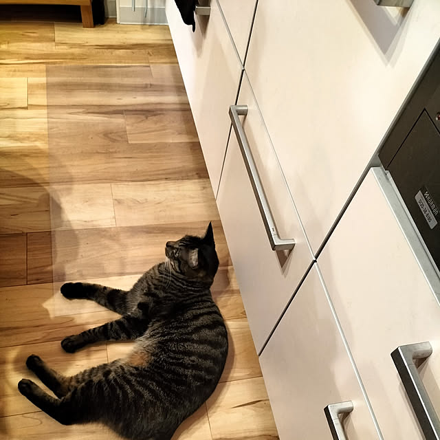 hihaさんの実例写真
