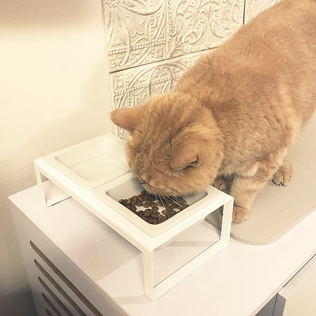 cocoさんの実例写真