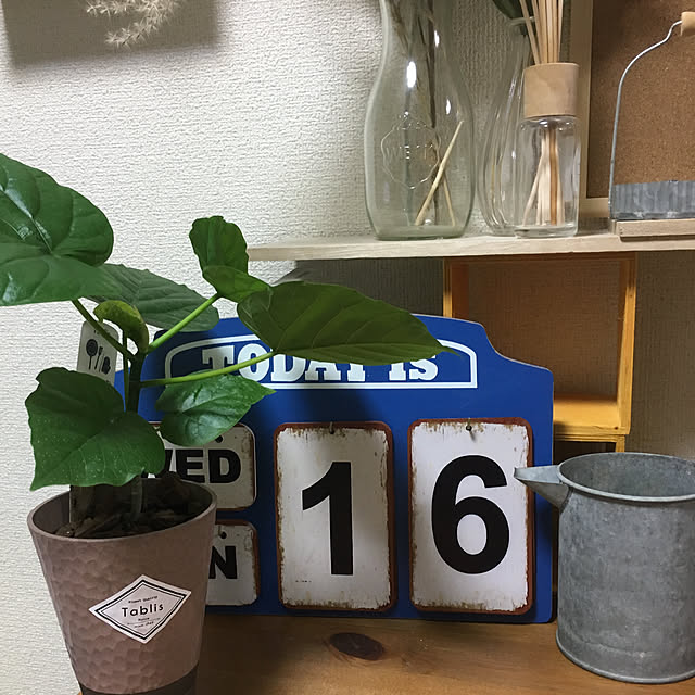 Tomoko.kさんの実例写真