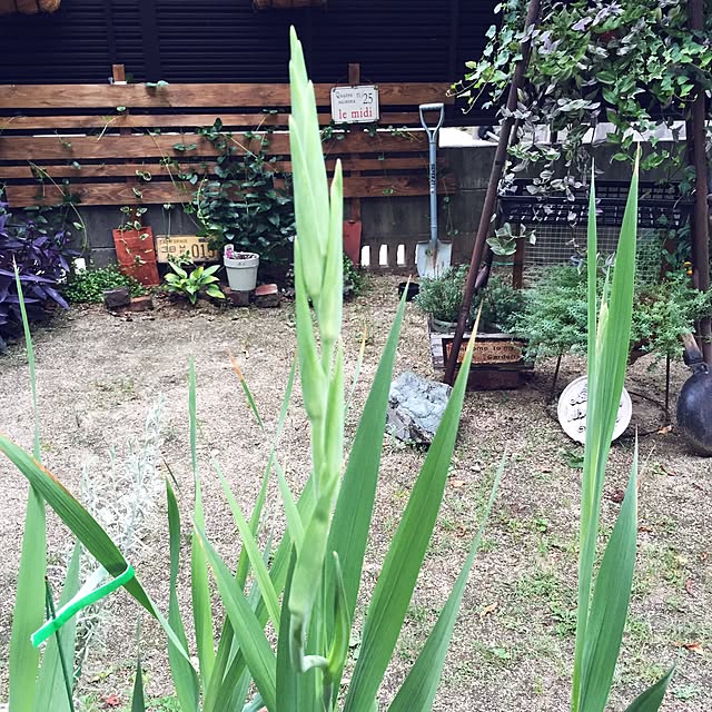 bibianさんの実例写真