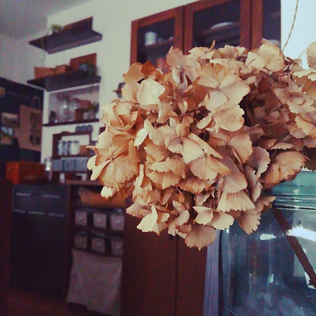 noa-houseさんの実例写真