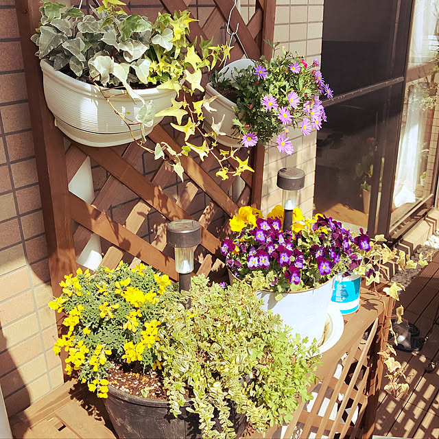ange0919さんの実例写真