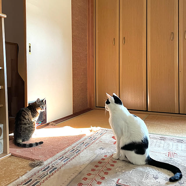 nobikoさんの部屋