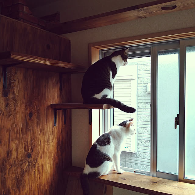 mikisunさんの実例写真