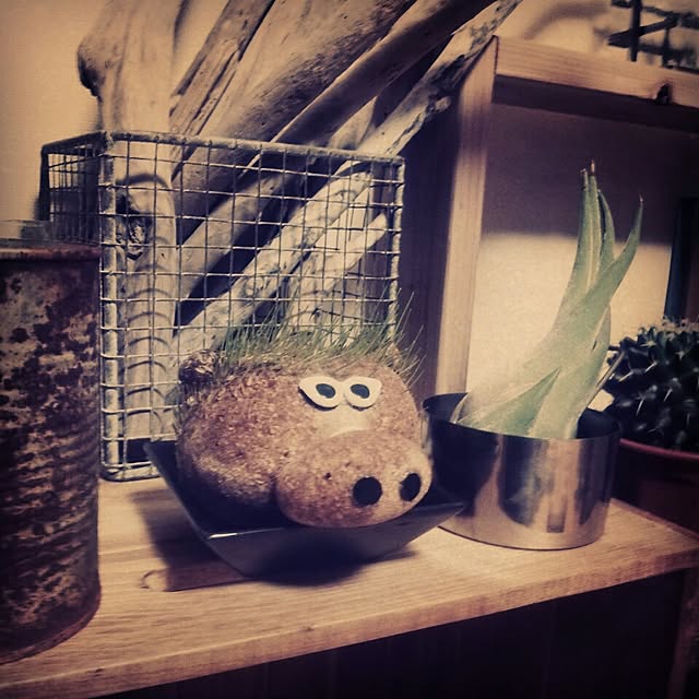 su--さんの実例写真