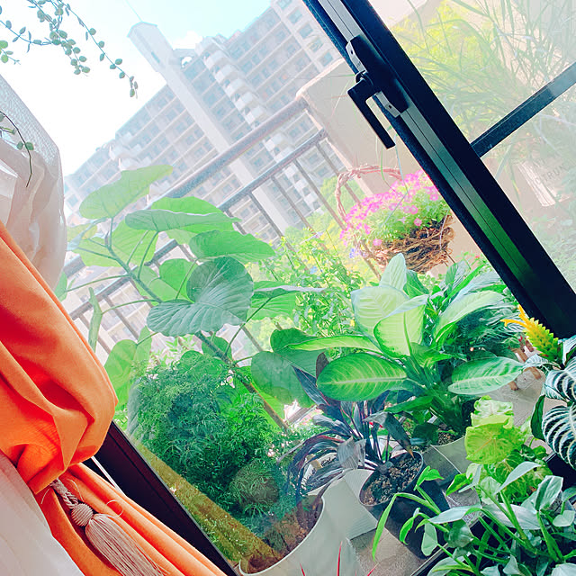 Tenさんの実例写真