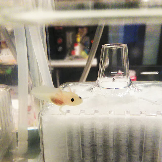 RuRuさんの実例写真