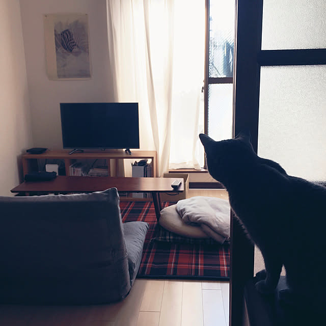 mintさんの実例写真