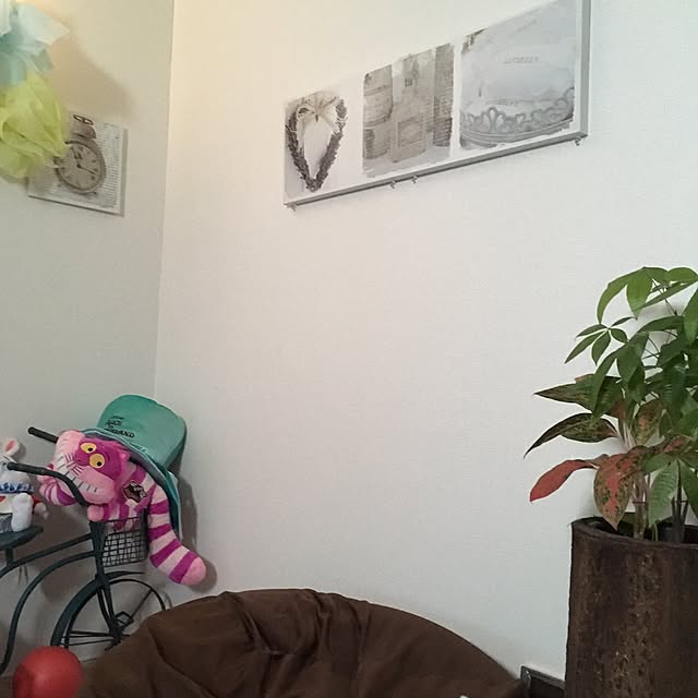 iomaruさんの実例写真