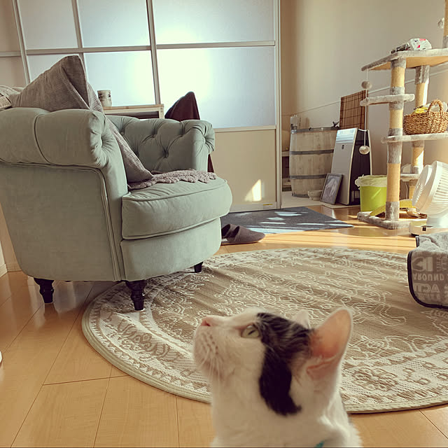 Yukikoさんの実例写真