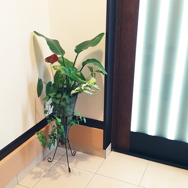 mayさんの実例写真